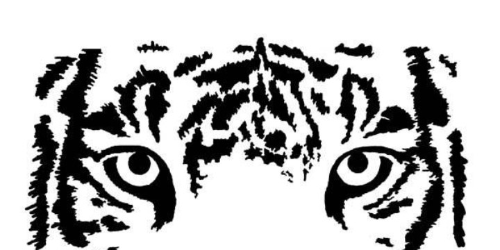 Tiger eyes clipart