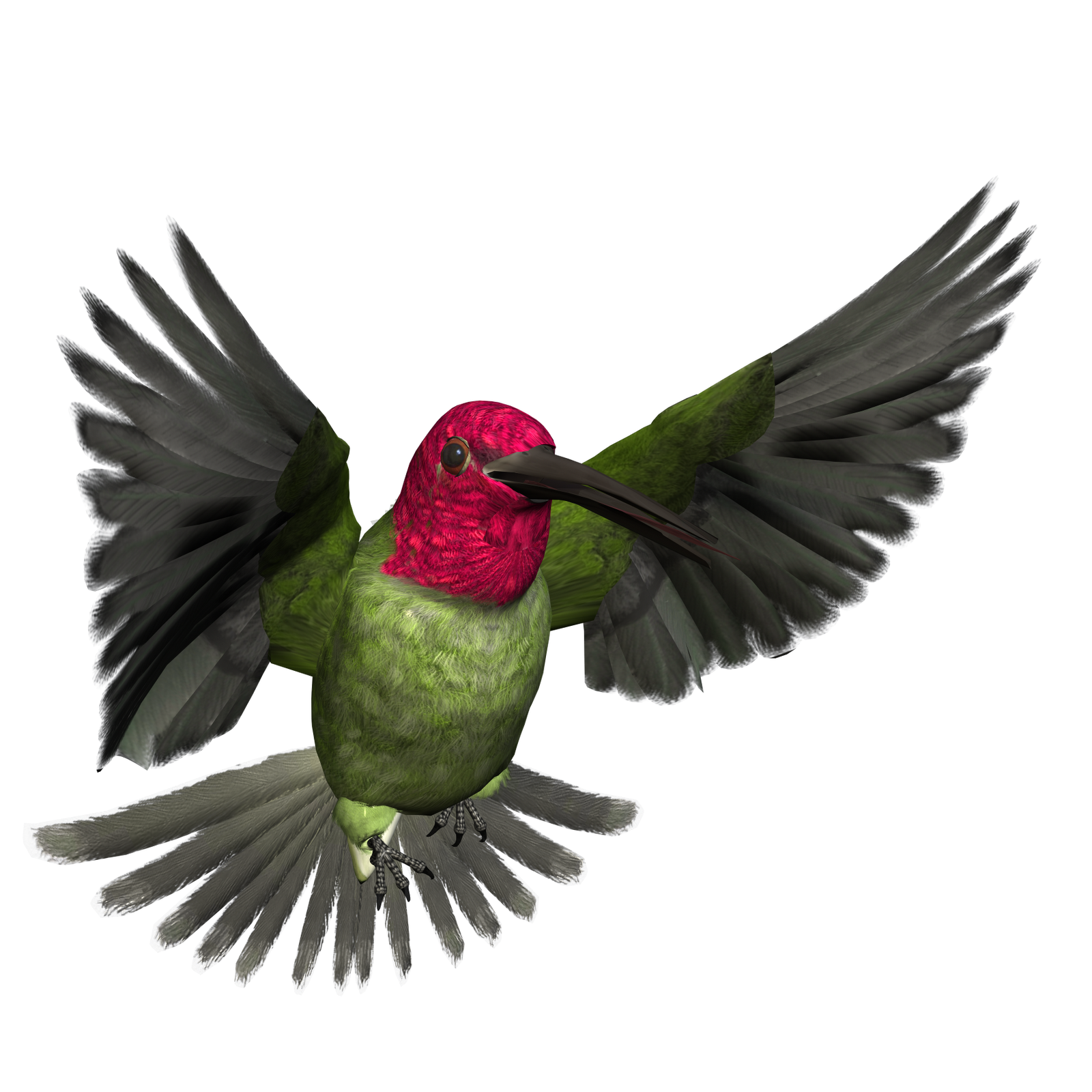 Free High Resolution graphics and clip art: bird png graphics