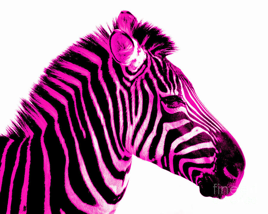 Pictures Of Pink Zebra Print - ClipArt Best