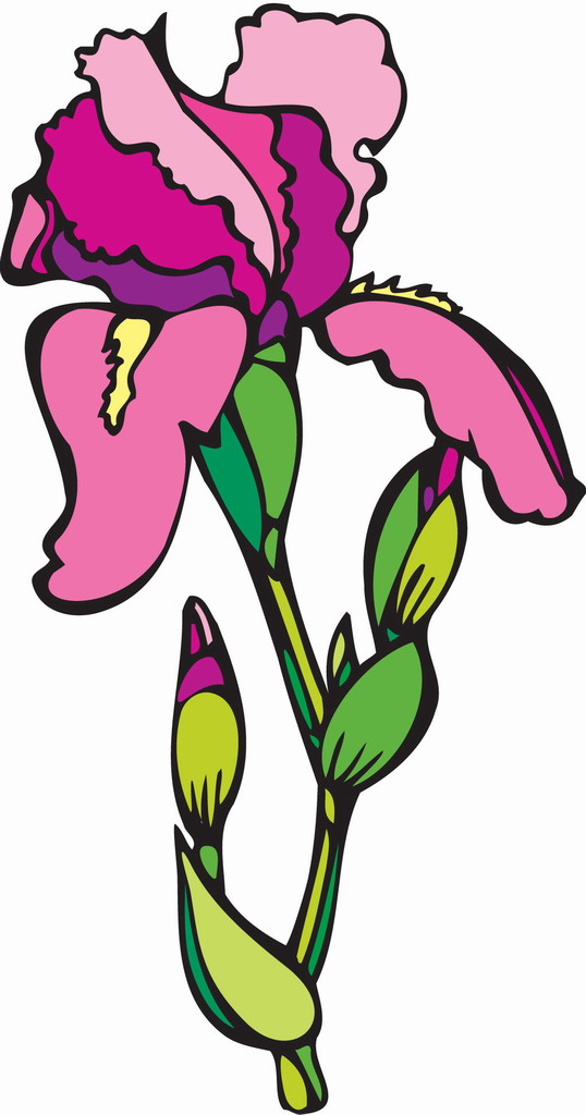 Pink Carnation Tattoo | Free Download Clip Art | Free Clip Art ...