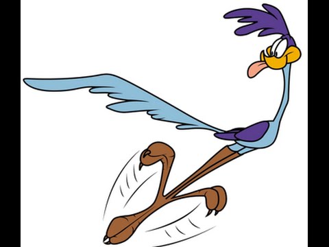 Looney Tunes Roadrunner MEEP MEEP - YouTube