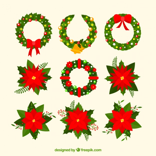 Poinsettia Vectors, Photos and PSD files | Free Download