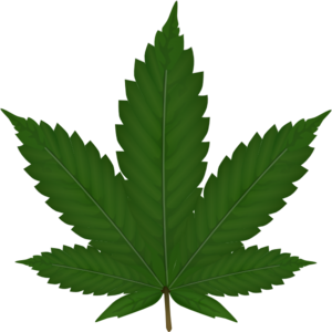 Marijuana leaf clip art