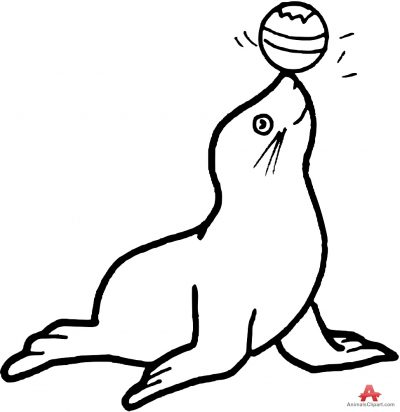 Animals Clipart of sea lion | Clipart with the keywords sea lion