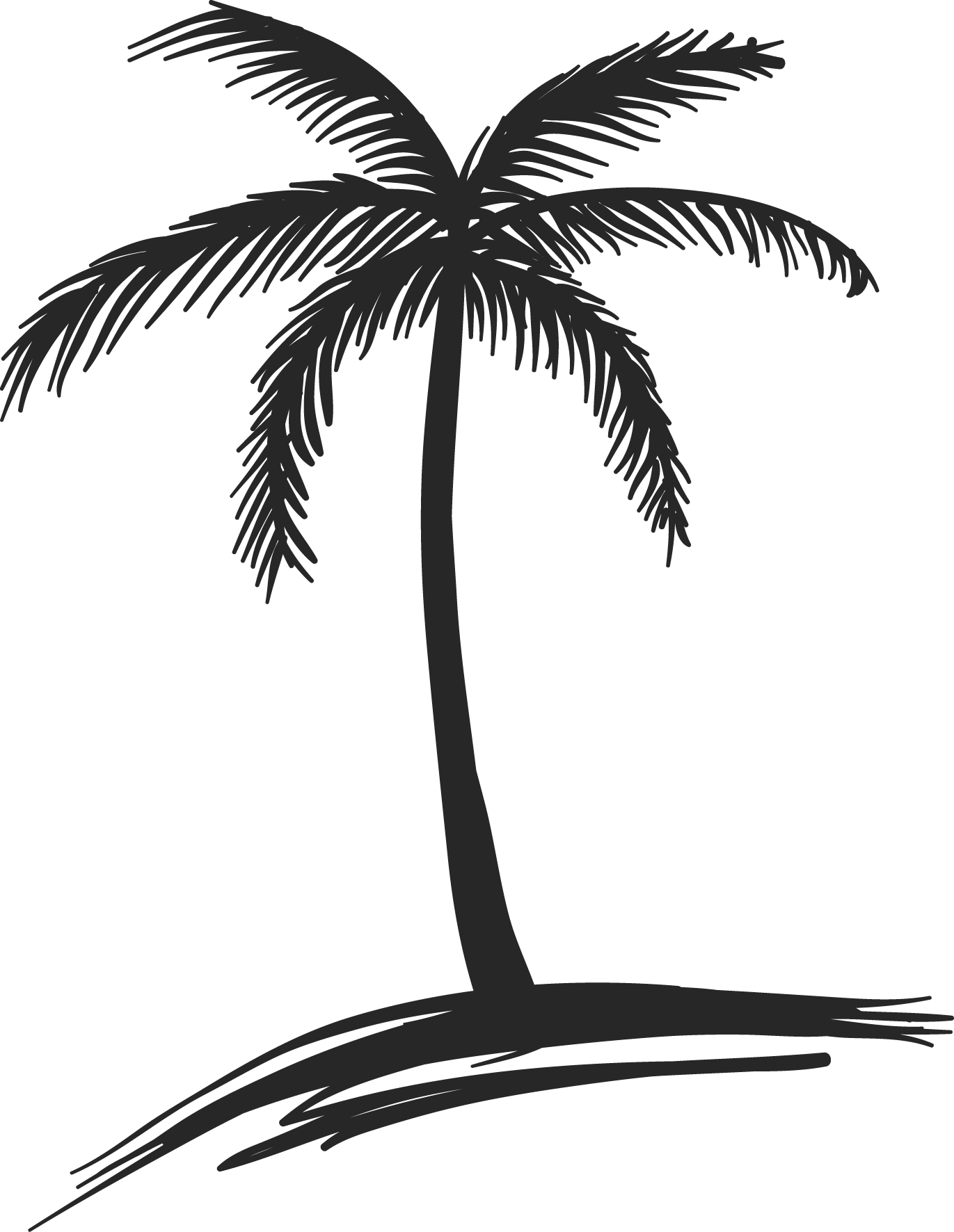 Coconut Tree Drawing | Free Download Clip Art | Free Clip Art | on ...