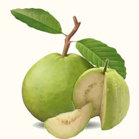 Guava Clipart | Free Download Clip Art | Free Clip Art | on ...