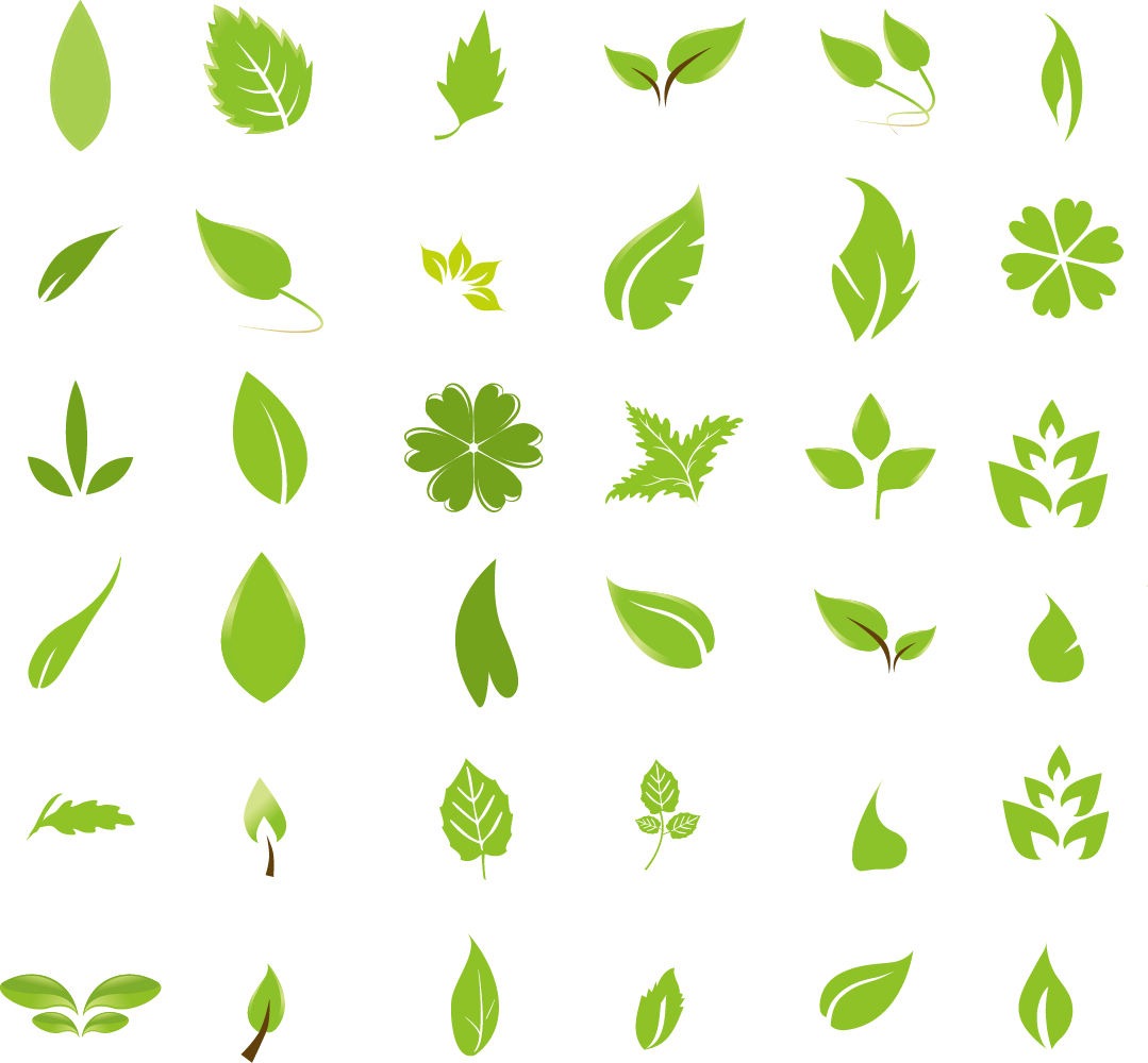 Leaf Graphic | Free Download Clip Art | Free Clip Art | on Clipart ...