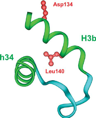 A ribbon diagram depicting the relative position of helices ...