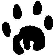 Paw Prints Clipart