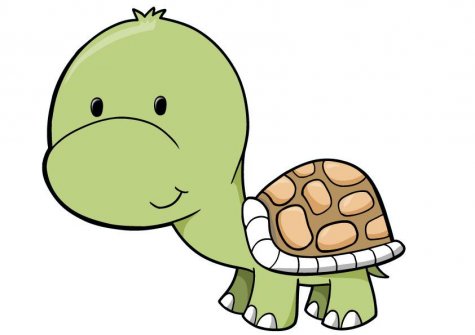 Animated Baby Turtle - ClipArt Best