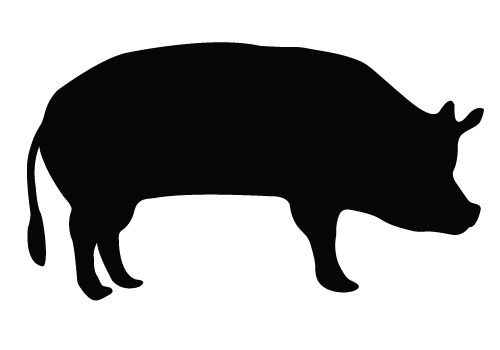 Pigs, Graphics and Animal silhouette