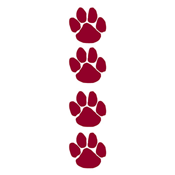 Maroon Paw Print Temporary Tattoo - USimprints