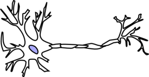 Neuron Clip Art - ClipArt Best