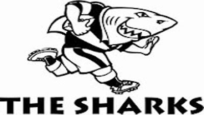 SABC News - Sharks