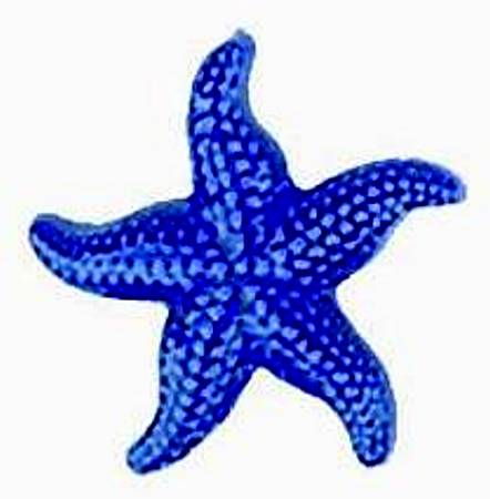 Starfish - Ceramic Mosaic Art