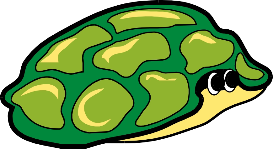 Turtle in shell clipart