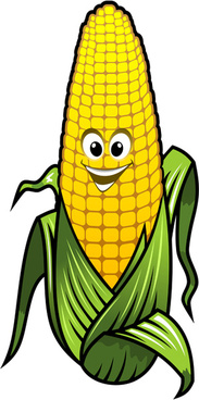 Corn stalk vector free vector download (123 Free vector) for ...