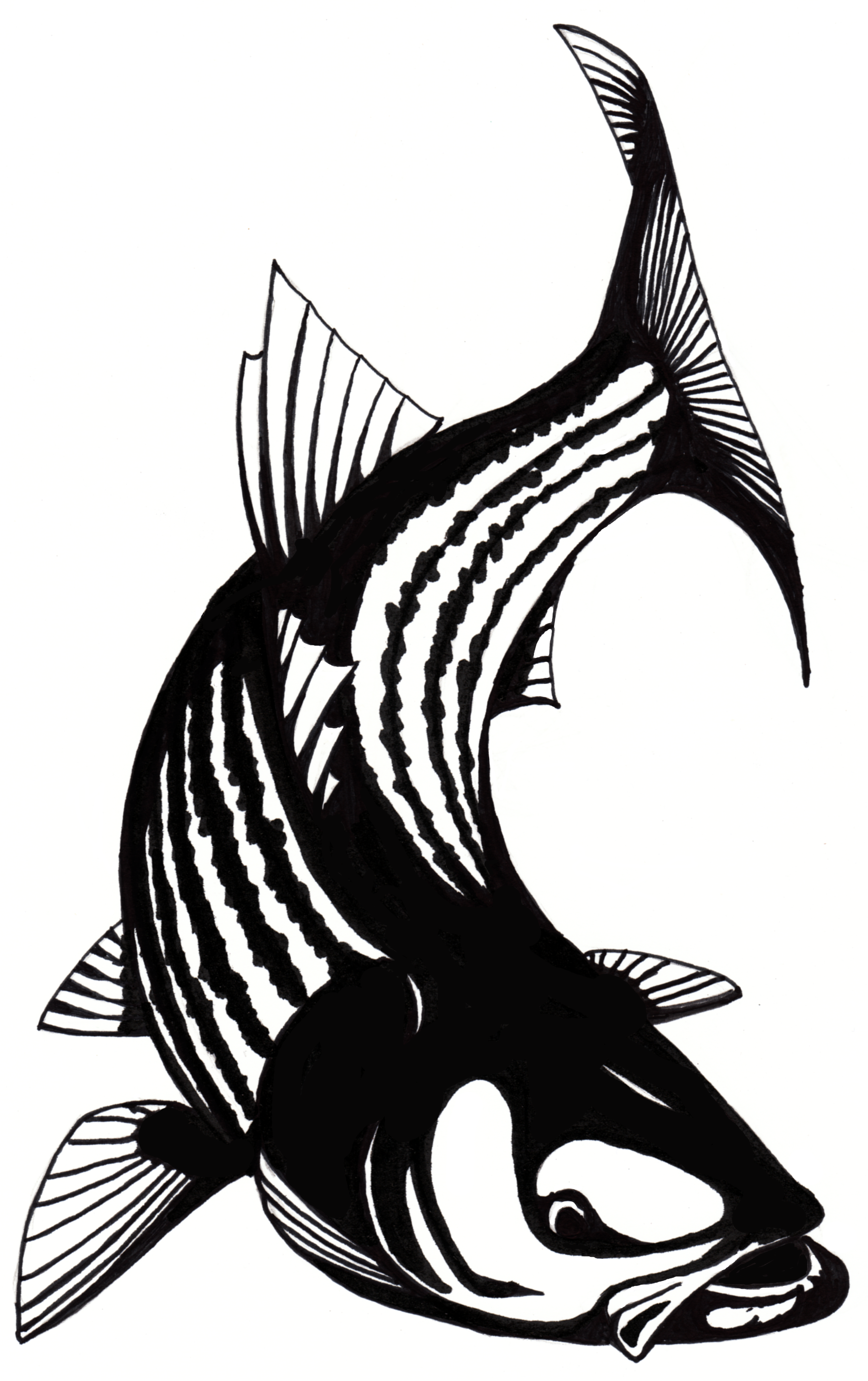 Tarpon Clip Art Clipart - Free to use Clip Art Resource