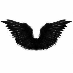 Large Black Feather Angel Wings XA5-B of bayhoops