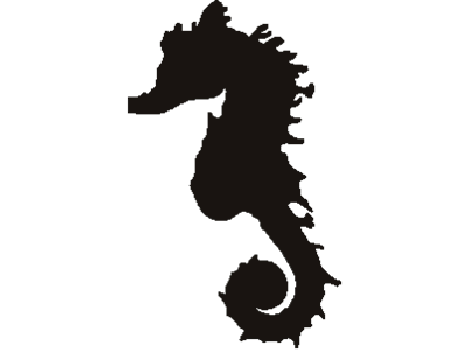 Sea Horse Stencil | Sea Horse Stencil s | Shape Stencil | Shape ...