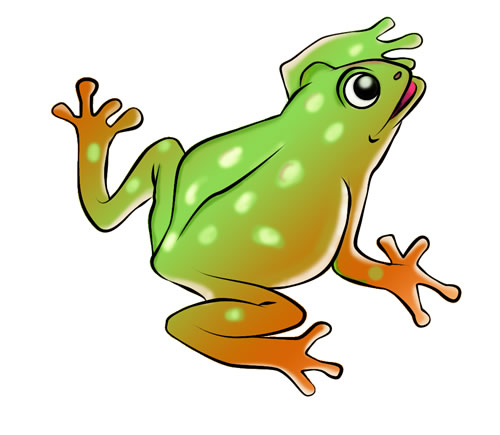 Free Pictures Of Frogs - ClipArt Best