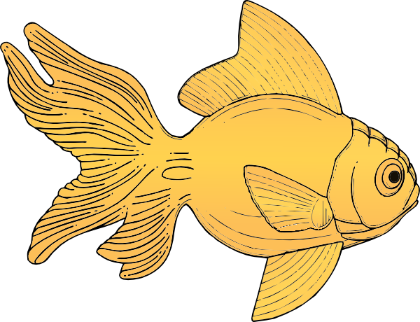 Gold Fish clip art - vector clip art online, royalty free & public ...