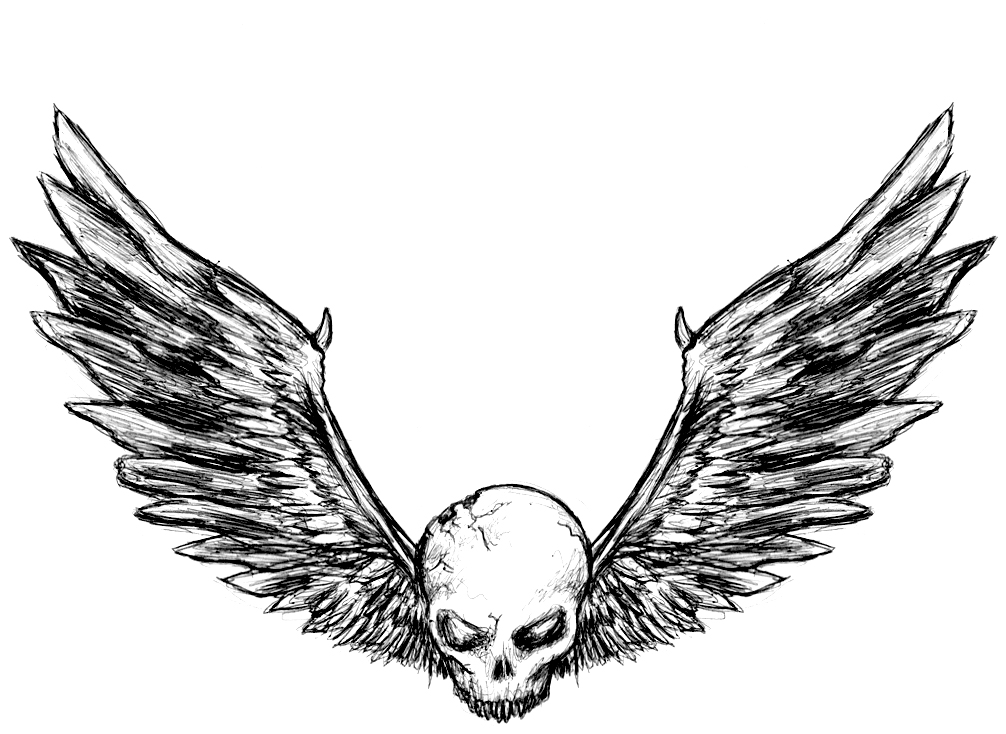 Angel Wings Drawings - ClipArt Best