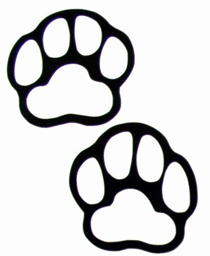 bear paw prints