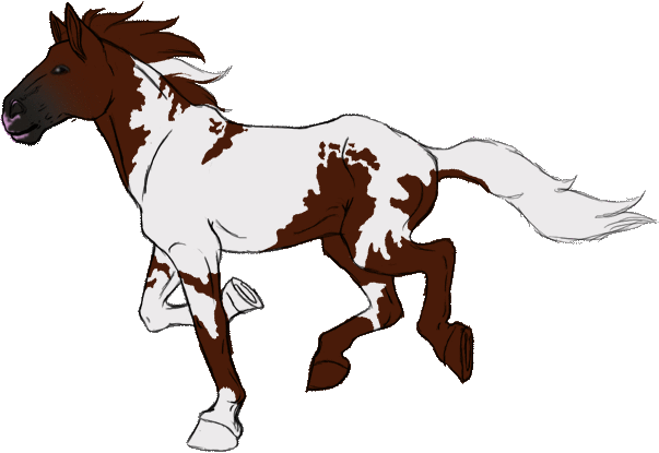 Running Horse AnimationCOLORED