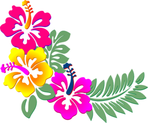 hibiscus-corner-md.png