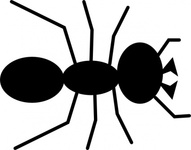 Black Ant Vector - Download 1,000 Vectors (Page 1)