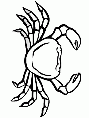 Free coloring pages and coloring book - Page 147 : Fish 9 Animals ...