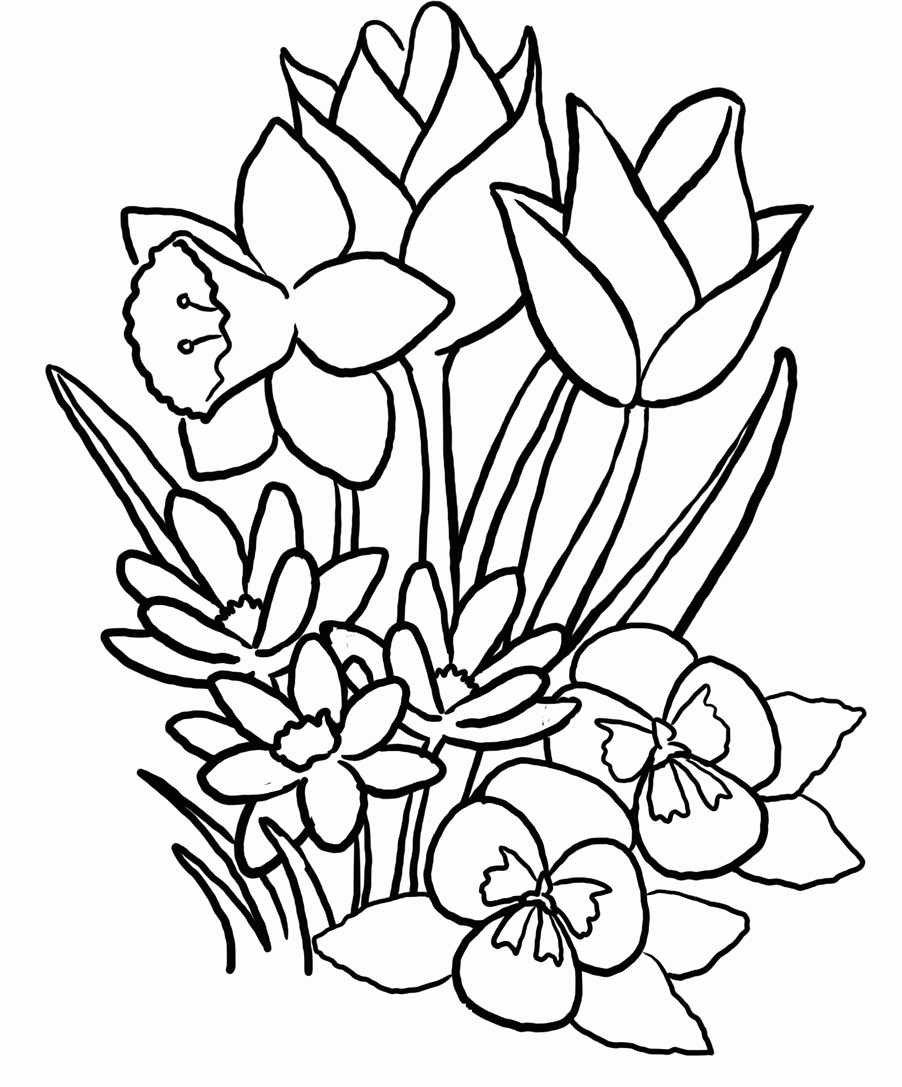 Printable Coloring Pages Of Hawaiian Flowers - AZ Coloring Pages