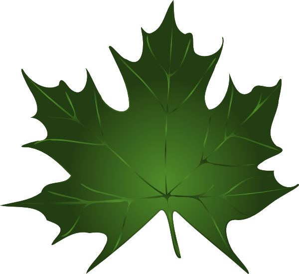 Maple leaves clip art free clipart images - Cliparting.com