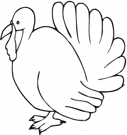 Turkey Line Art