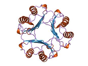 Macrophage migration inhibitory factor - Wikiwand