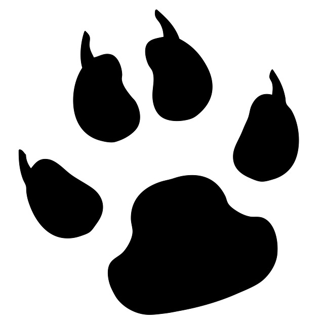 Bobcat Paw Prints | Free Download Clip Art | Free Clip Art | on ...