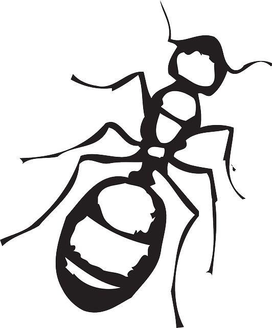 Outline drawing crawling ant tattoo design - Tattooimages.biz