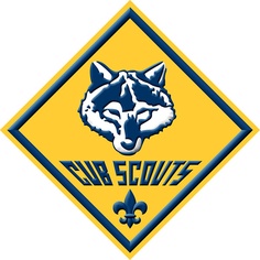 Cub Scouts