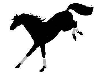 Bucking Horse Clip Art