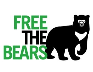 Free the Bears Quiz Night