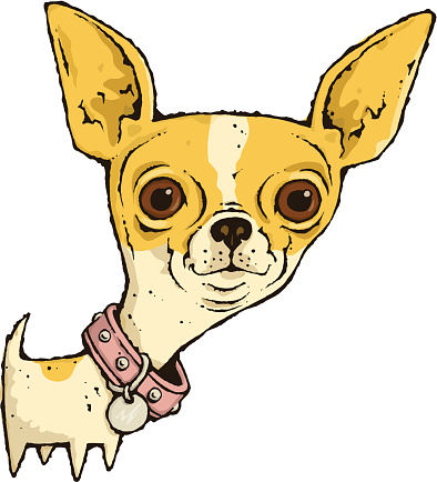 Clip Art Of A Chihuahua Dogs Clip Art, Vector Images ...