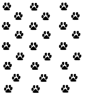 Paw Footprints Template Tattoo Design: Real Photo, Pictures ...