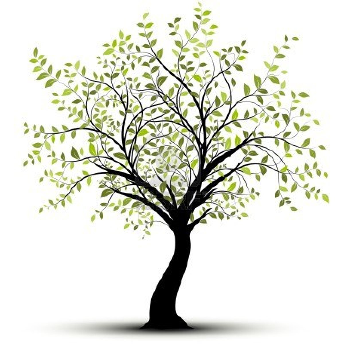 Tree White Background - ClipArt Best