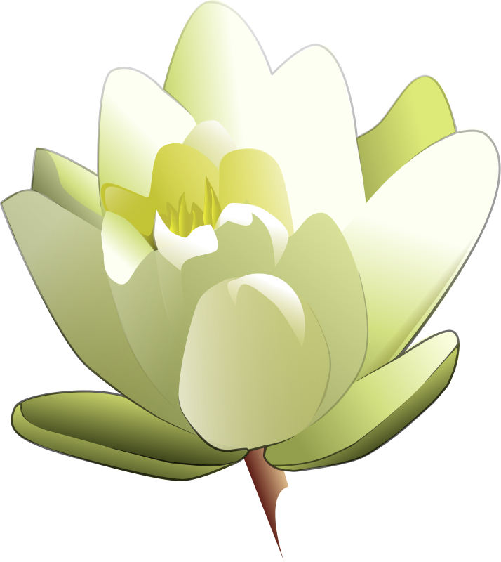 Cartoon Lily Flower | Free Download Clip Art | Free Clip Art | on ...