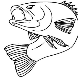 Cathing Bass Fish Coloring Pages | Best Place to Color