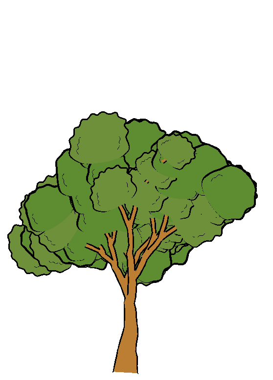 Trees Cartoon - ClipArt Best