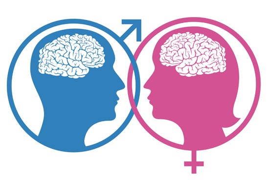 Sex Differences in Emotional Memory | Emotion on the Brain