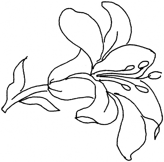 Colouring Pages Of A Single Flower - ClipArt Best