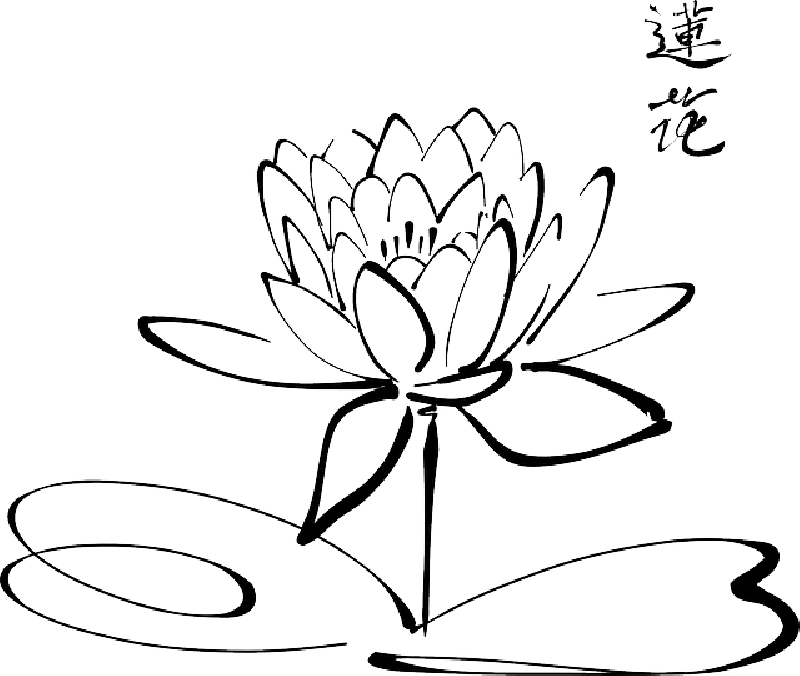 FLOWER, CALLIGRAPHY, LOTUS, FLOR, TRIBAL, SKETCH - Public Domain ...